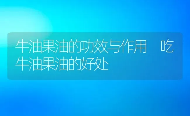 牛油果油的功效与作用 吃牛油果油的好处 | 养殖资料投稿