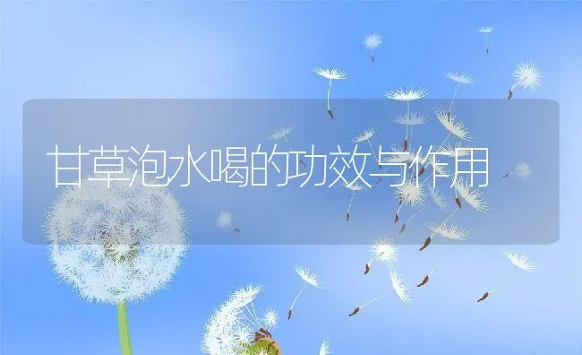 甘草泡水喝的功效与作用 | 养殖资料投稿