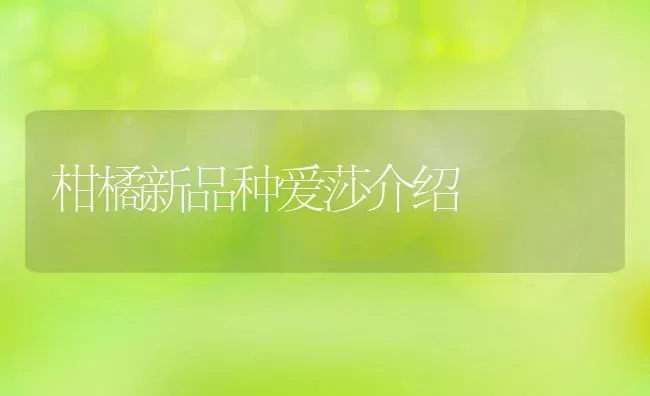 龙回红脐橙种得不 | 养殖资讯