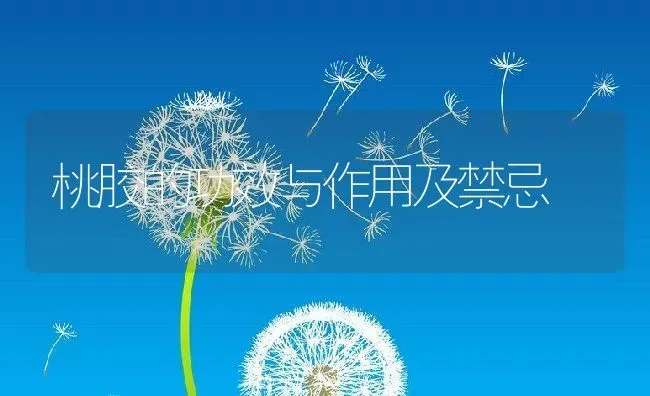 桃胶的功效与作用及禁忌 | 养殖资料投稿