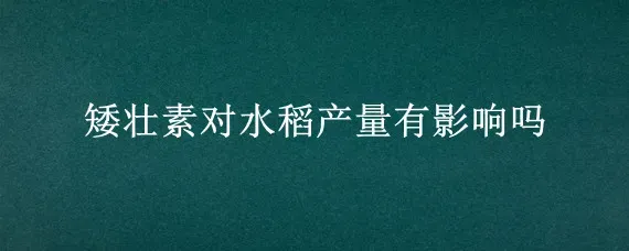 矮壮素对水稻产量有影响吗