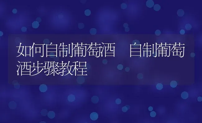 如何自制葡萄酒 自制葡萄酒步骤教程 | 养殖资料投稿