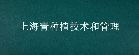 上海青种植技术和管理