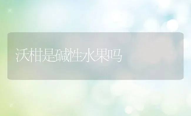 沃柑是碱性水果吗 | 养殖资讯