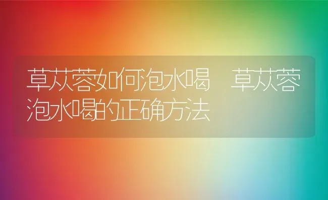 草苁蓉如何泡水喝 草苁蓉泡水喝的正确方法 | 养殖资料投稿