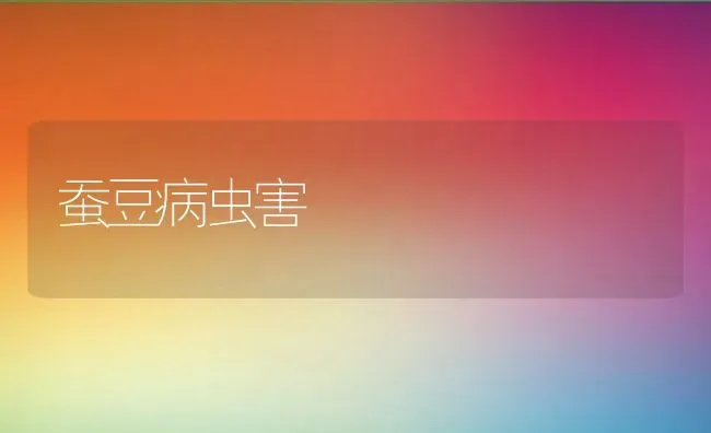 蚕豆病虫害 | 养殖资料投稿