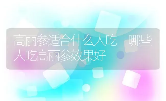 高丽参适合什么人吃 哪些人吃高丽参效果好 | 养殖资料投稿