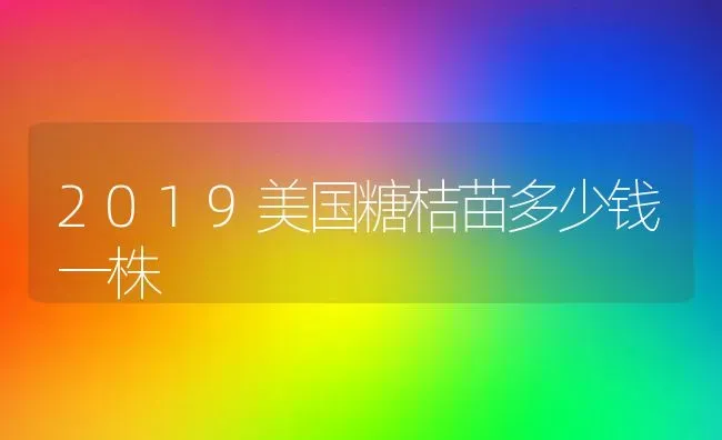 2019美国糖桔苗多少钱一株 | 养殖资讯