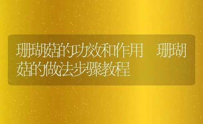 珊瑚菇的功效和作用 珊瑚菇的做法步骤教程 | 养殖资料投稿