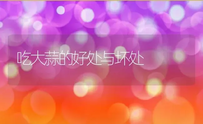 吃大蒜的好处与坏处 | 养殖资料投稿