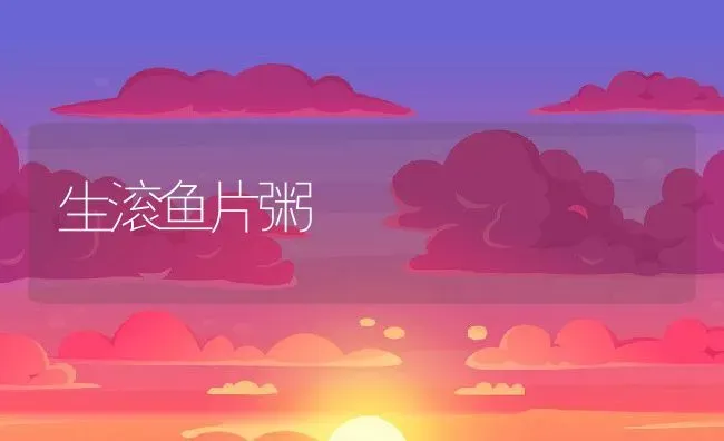 生滚鱼片粥 | 养殖资讯