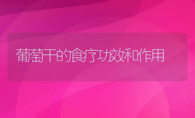 葡萄干的食疗功效和作用 | 养殖资料投稿