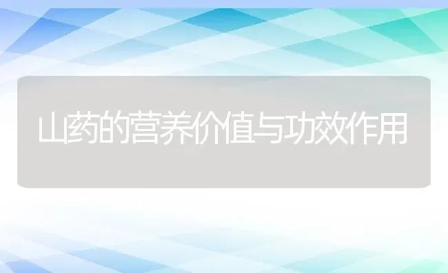 山药的营养价值与功效作用 | 养殖资料投稿