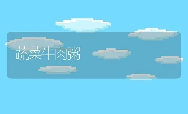 蔬菜牛肉粥 | 养殖资料投稿