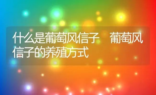 什么是葡萄风信子 葡萄风信子的养殖方式 | 养殖资料投稿