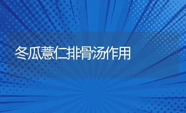 冬瓜薏仁排骨汤作用 | 养殖资料投稿