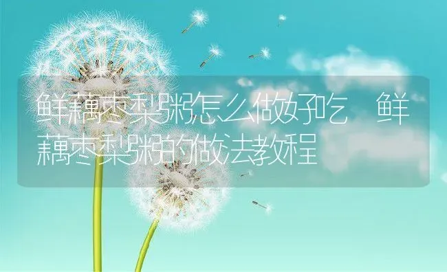 鲜藕枣梨粥怎么做好吃 鲜藕枣梨粥的做法教程 | 养殖资讯