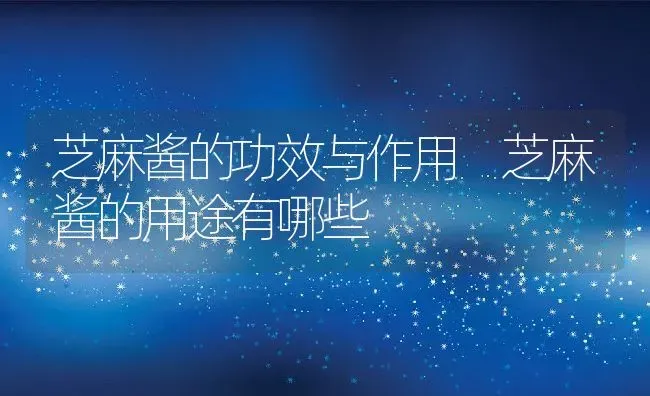 芝麻酱的功效与作用 芝麻酱的用途有哪些 | 养殖资料投稿