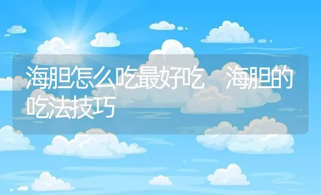 海胆怎么吃最好吃 海胆的吃法技巧 | 养殖资料投稿