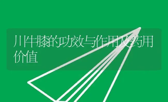 川牛膝的功效与作用及药用价值 | 养殖资料投稿