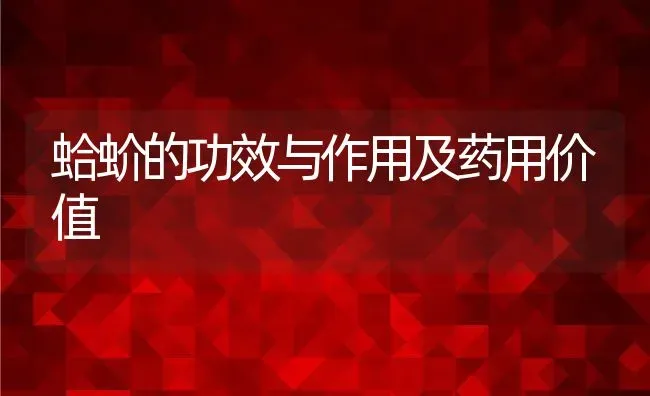 蛤蚧的功效与作用及药用价值 | 养殖资料投稿