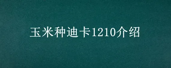 玉米种迪卡1210介绍