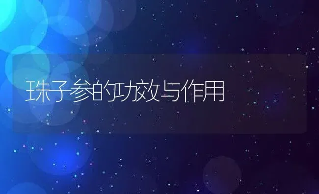 珠子参的功效与作用 | 养殖资料投稿