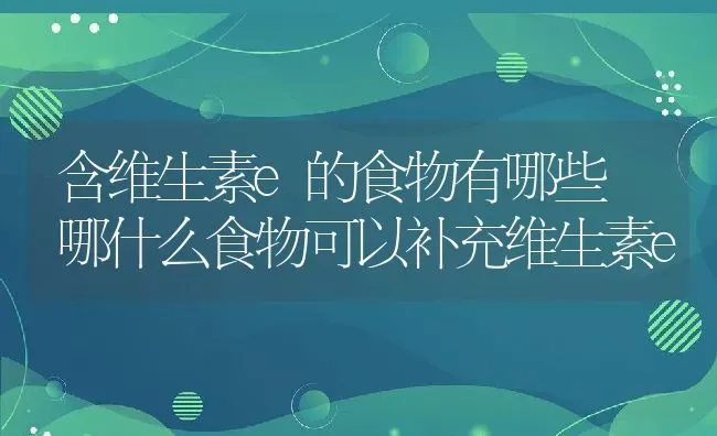 含维生素e的食物有哪些 哪什么食物可以补充维生素e | 养殖资料投稿