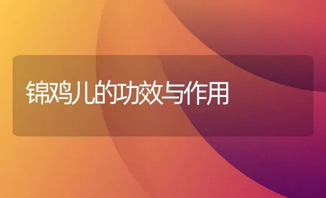 锦鸡儿的功效与作用 | 养殖资料投稿