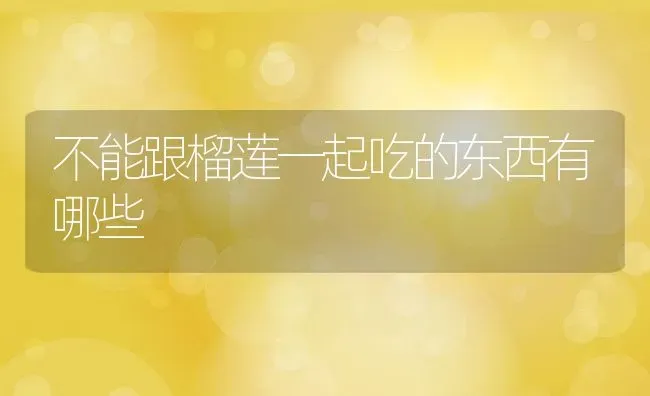 不能跟榴莲一起吃的东西有哪些 | 养殖资料投稿