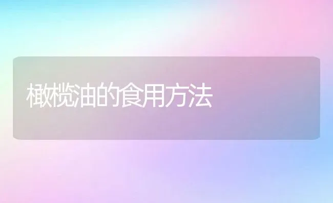 橄榄油的食用方法 | 养殖资料投稿