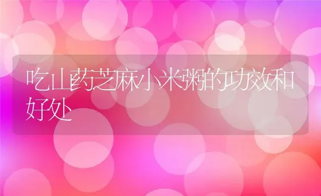 吃山药芝麻小米粥的功效和好处 | 养殖资讯