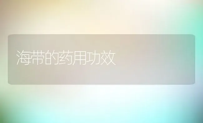 海带的药用功效 | 养殖资料投稿