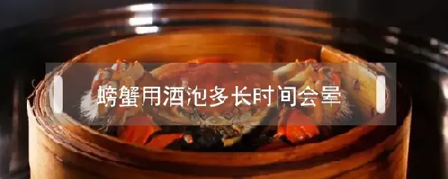 螃蟹用酒泡多长时间会晕