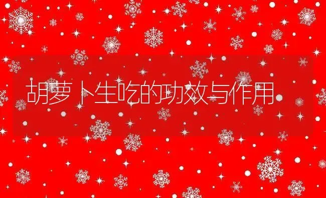 胡萝卜生吃的功效与作用 | 养殖资料投稿