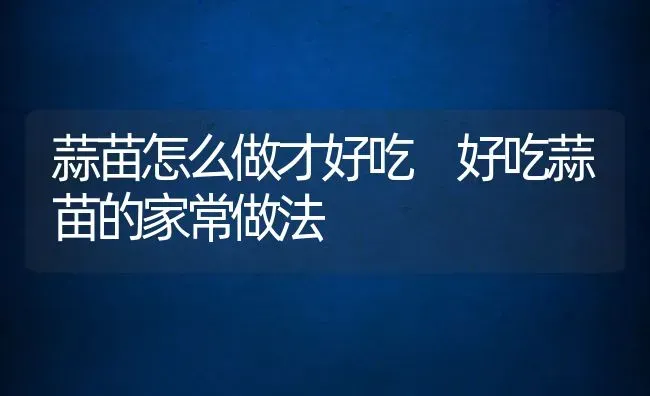 蒜苗怎么做才好吃 好吃蒜苗的家常做法 | 养殖资料投稿