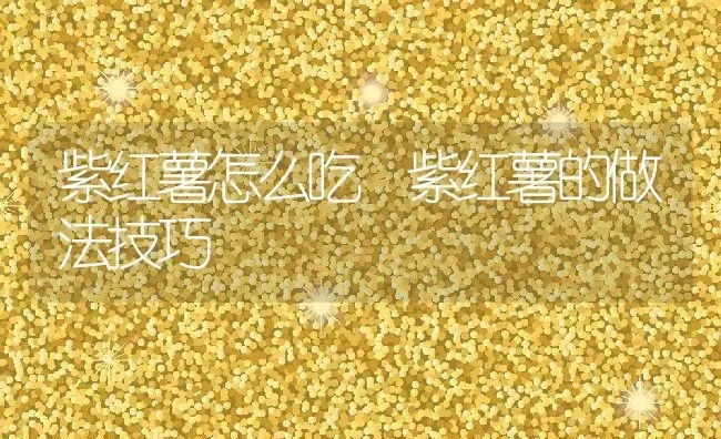 紫红薯怎么吃 紫红薯的做法技巧 | 养殖资料投稿