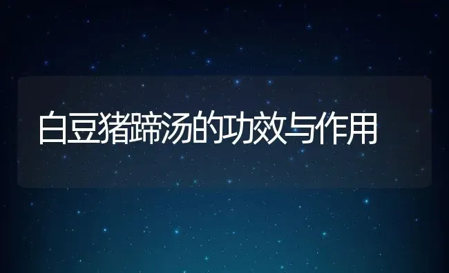 白豆猪蹄汤的功效与作用 | 养殖资料投稿