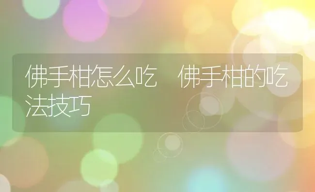 佛手柑怎么吃 佛手柑的吃法技巧 | 养殖资料投稿