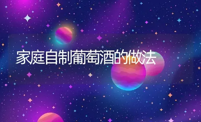 家庭自制葡萄酒的做法 | 养殖资料投稿