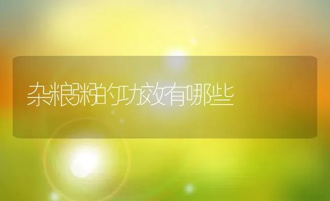 杂粮粥的功效有哪些 | 养殖资讯