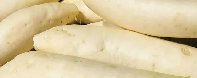 萝卜什么时候种植最好