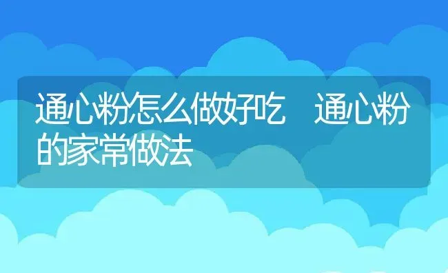 通心粉怎么做好吃 通心粉的家常做法 | 养殖资料投稿