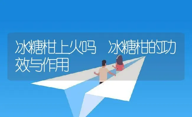 冰糖柑上火吗 冰糖柑的功效与作用 | 养殖资料投稿