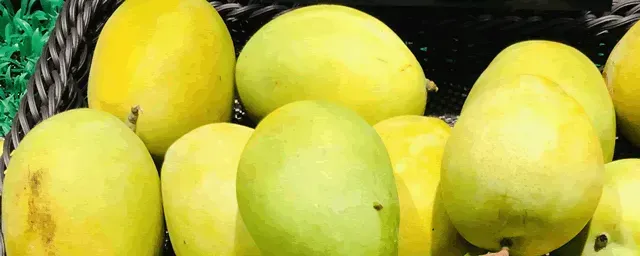 芒果黑心是怎么回事