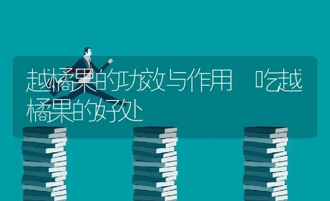 越橘果的功效与作用 吃越橘果的好处 | 养殖资料投稿