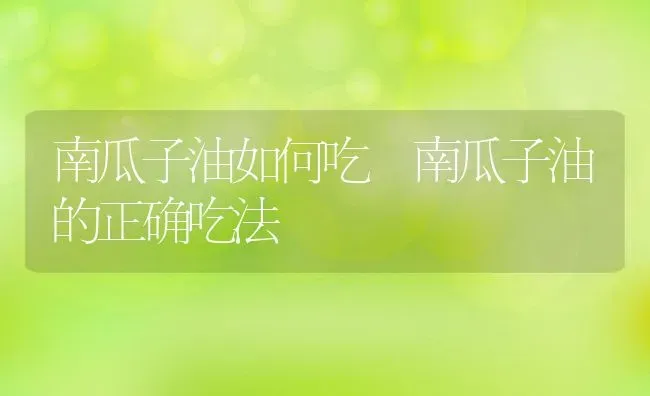 南瓜子油如何吃 南瓜子油的正确吃法 | 养殖资料投稿