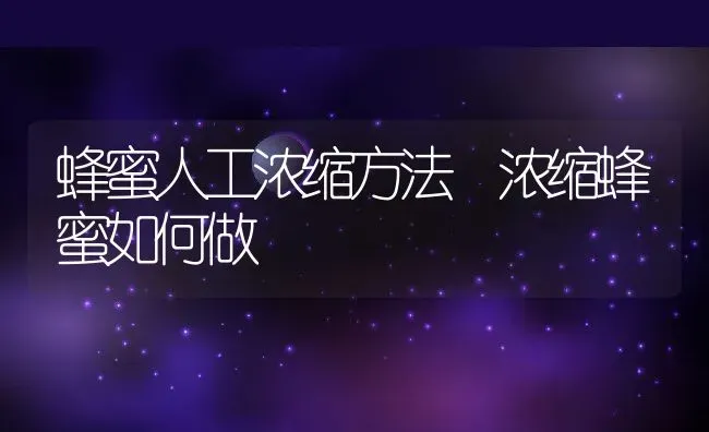 蜂蜜人工浓缩方法 浓缩蜂蜜如何做 | 养殖资料投稿