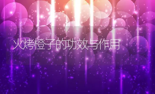 火烤橙子的功效与作用 | 养殖资料投稿