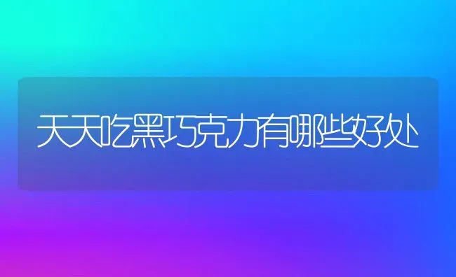 天天吃黑巧克力有哪些好处 | 养殖资料投稿